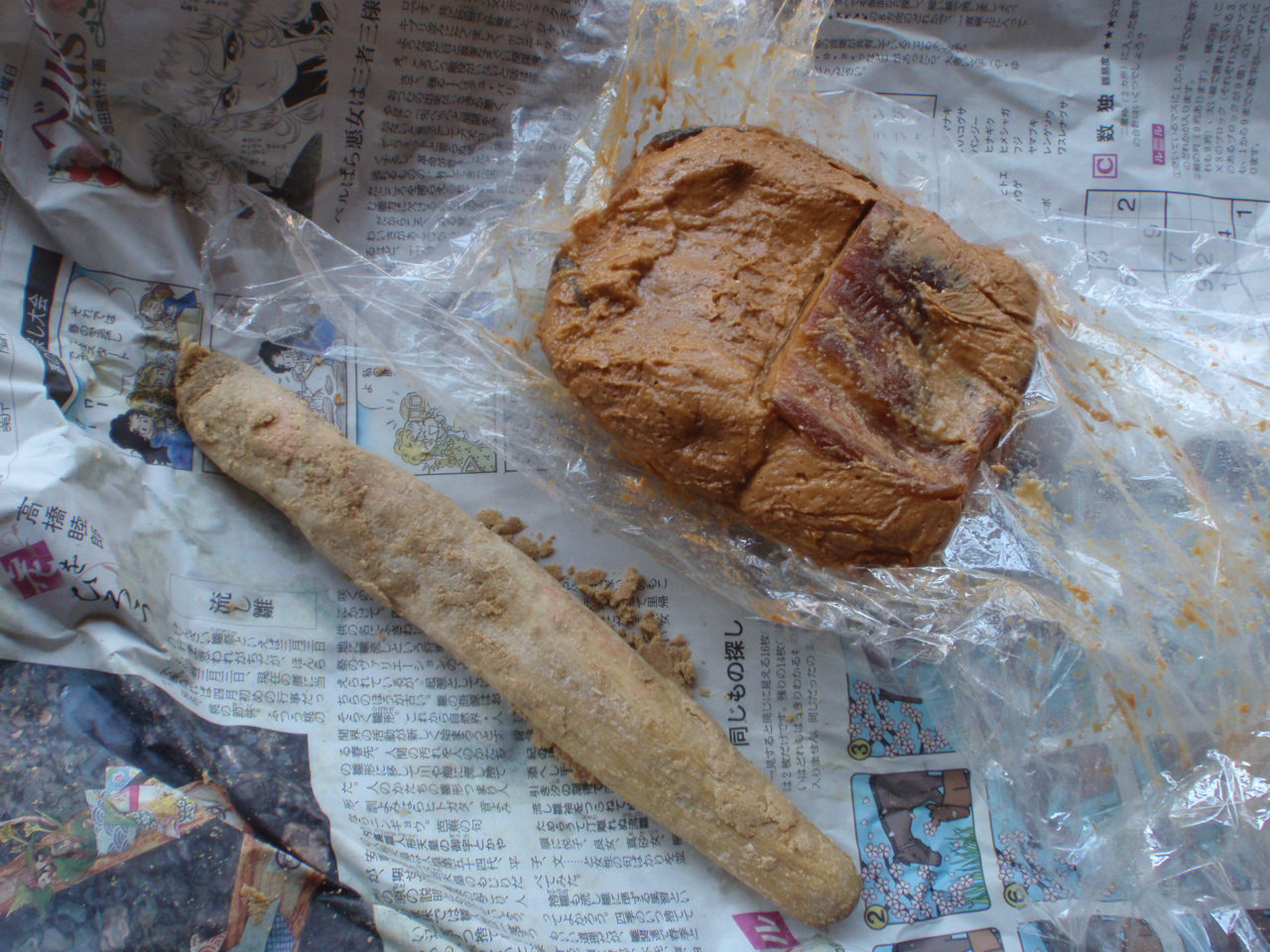 f0224772_101010.jpg