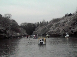 b0134673_2248105.jpg
