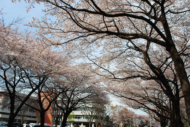 b0029777_1505182.jpg
