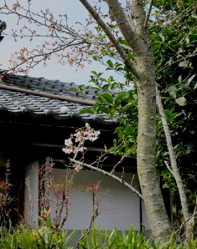 b0171185_13134038.jpg