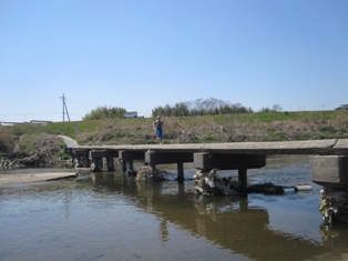 b0050787_1675487.jpg