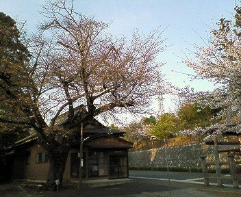 c0014187_21183111.jpg