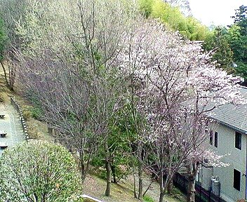 c0014187_21204932.jpg