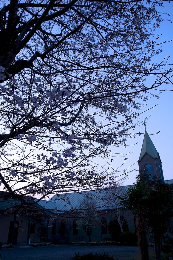 a0054691_23462925.jpg