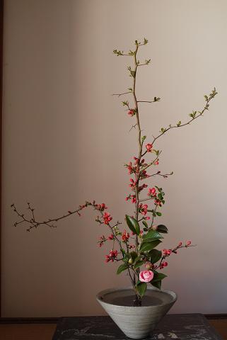 f0222692_7233937.jpg