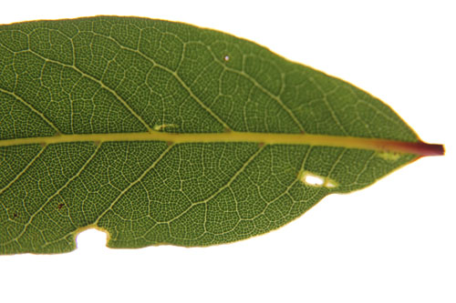 f0165698_1493474.jpg
