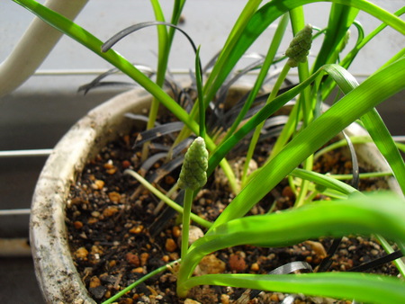 c0227800_1614362.jpg