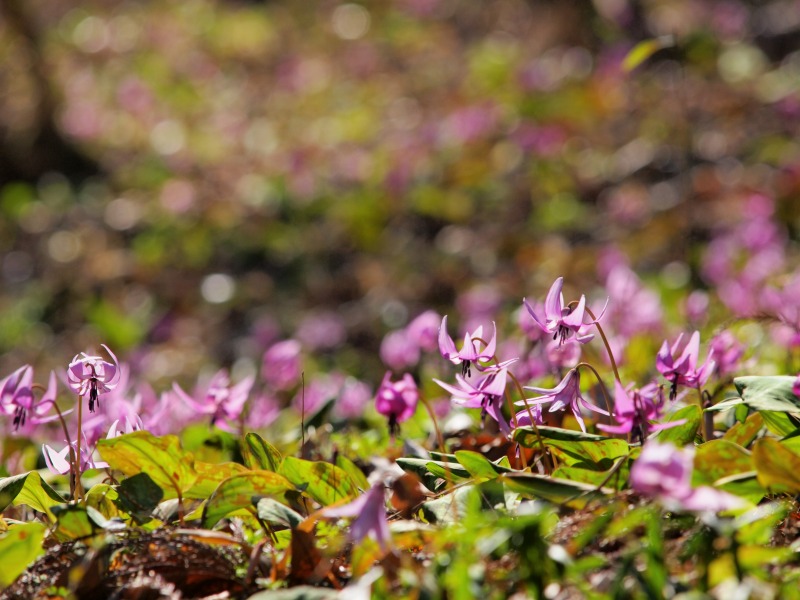 f0224100_0322530.jpg
