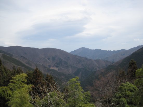 e0183804_195669.jpg