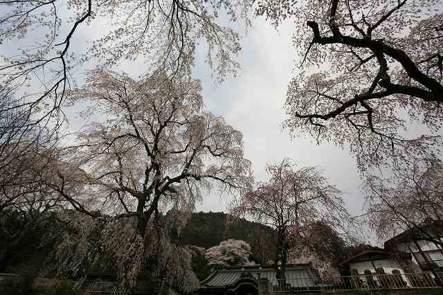 a0188405_929812.jpg