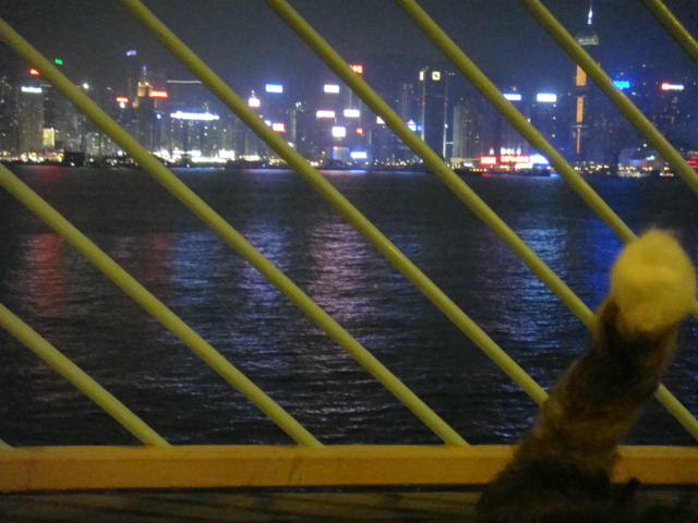 d0200406_12392374.jpg