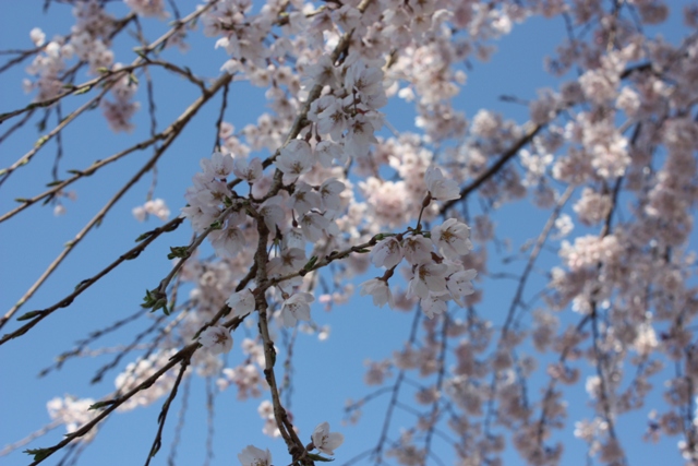 c0138908_10572552.jpg