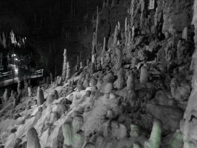 c0057810_22591991.jpg