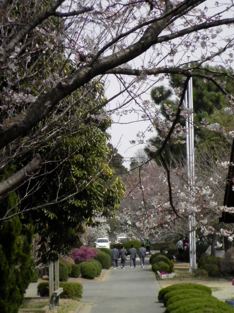 f0208812_9402082.jpg