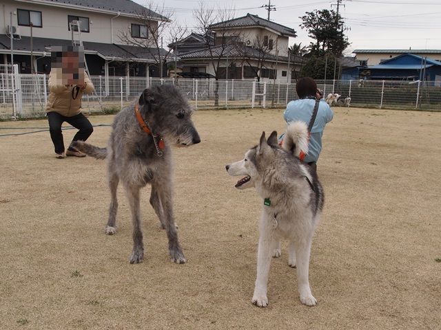 b0207615_20542237.jpg