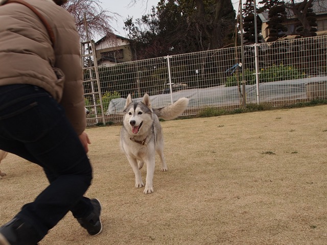 b0207615_22314823.jpg