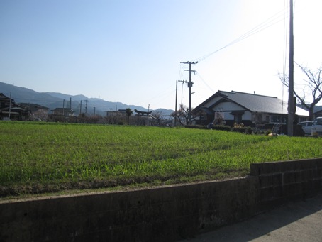 d0122515_10251673.jpg