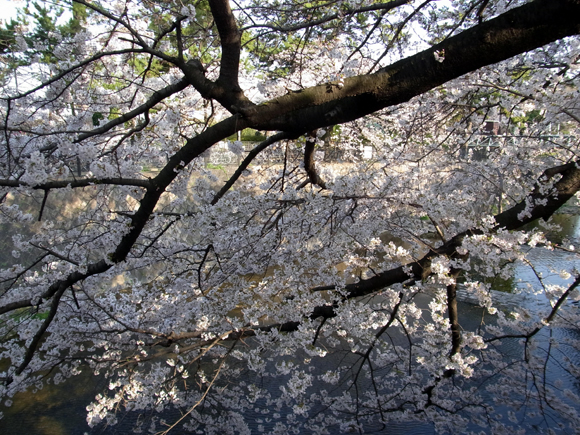 e0083517_2574692.jpg