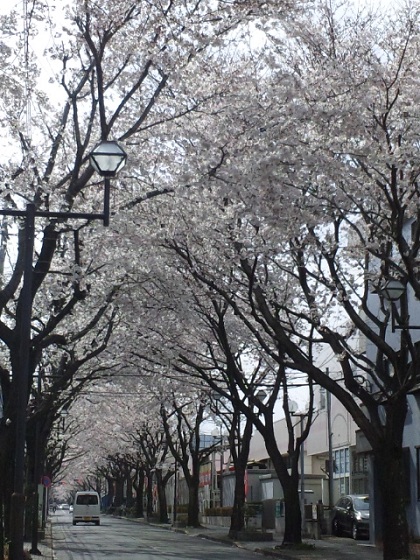 b0199924_20464195.jpg