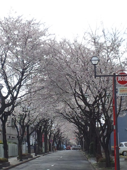 b0199924_20472961.jpg