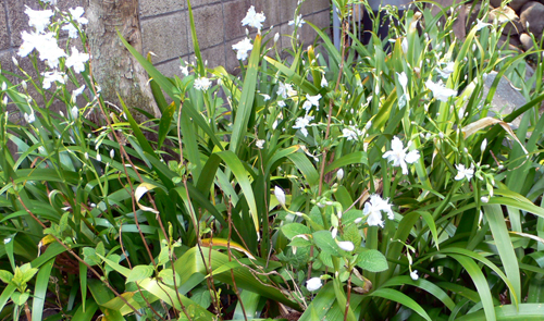f0060424_1230534.jpg