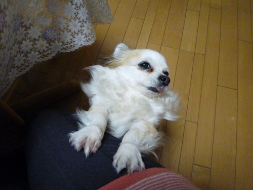 b0138430_2143090.jpg
