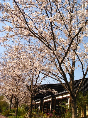 d0062132_16321567.jpg