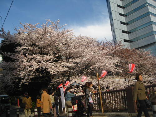 d0062132_16541464.jpg