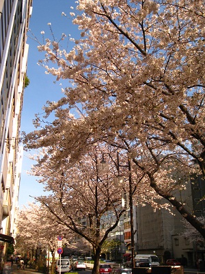 d0062132_17101057.jpg