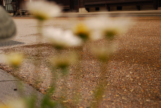 f0238332_1413269.jpg
