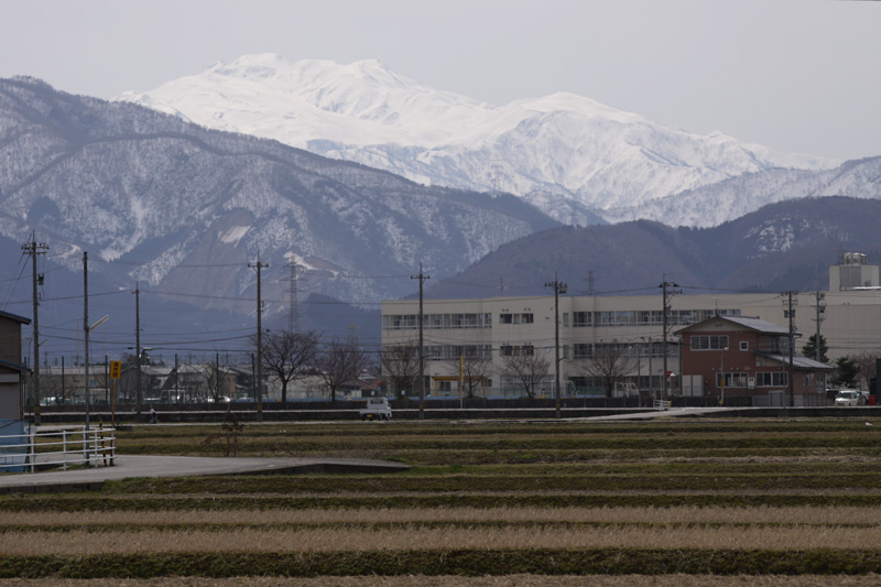 b0177233_59934.jpg