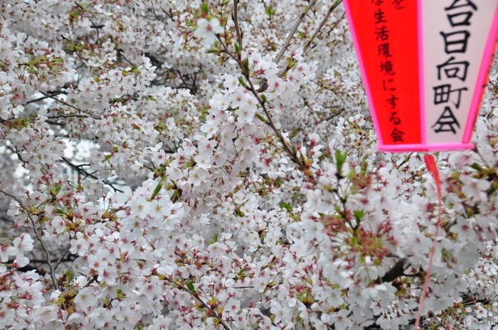 c0133533_23143619.jpg