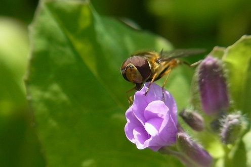 a0017634_22224255.jpg