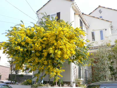 f0061334_02279.jpg