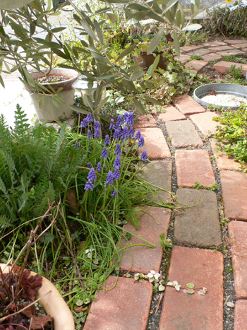 f0061334_02892.jpg