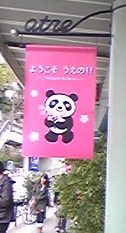c0141335_209719.jpg