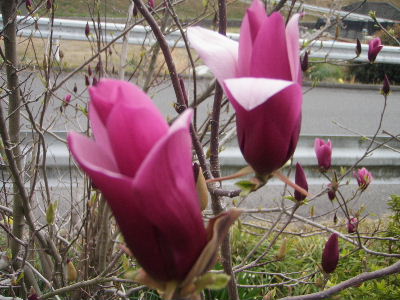 a0054240_2127359.jpg