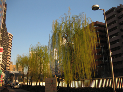 f0141840_10363447.jpg