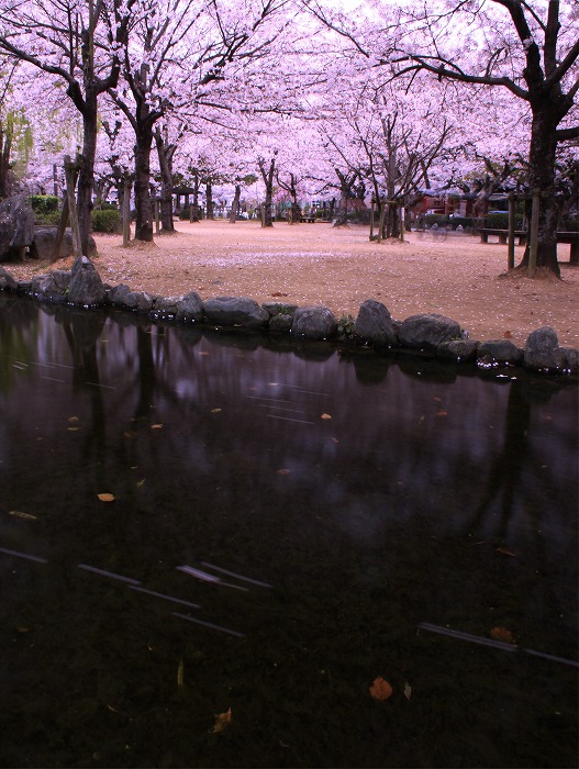 b0168041_1954216.jpg