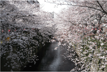 b0182846_2333493.gif