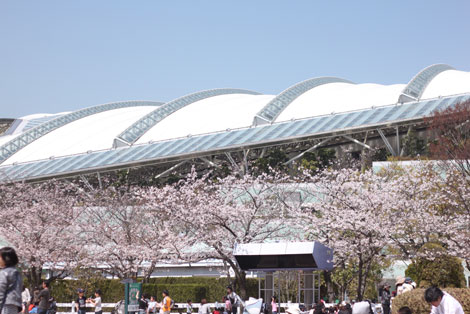 e0182147_5251778.jpg