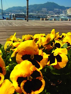 c0171349_10162935.jpg