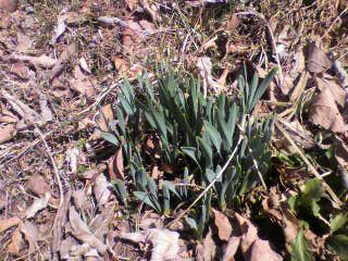 c0206649_175017100.jpg