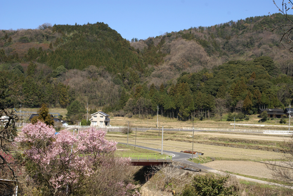 f0214649_4434325.jpg