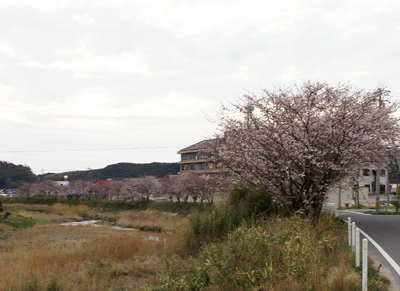 f0214649_4444723.jpg