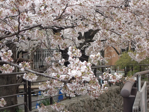 c0206352_1957433.jpg
