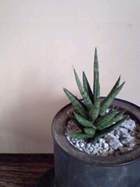 c0138553_1512131.jpg