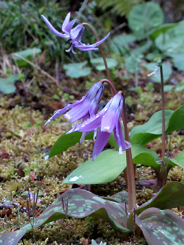 f0007956_2211391.jpg