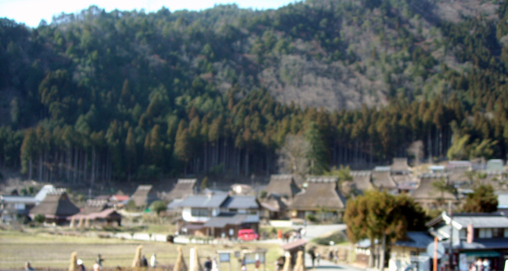 d0137658_13352718.jpg
