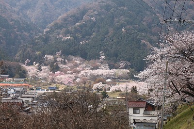f0106664_656257.jpg